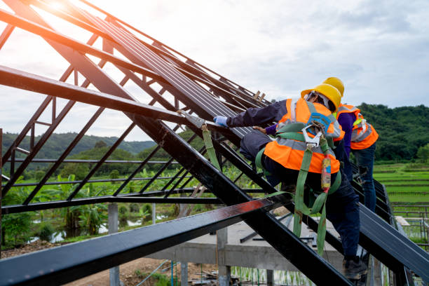 Best Roof Repair Services  in Scott Af, IL