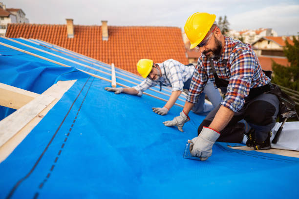 Best Roof Waterproofing Services  in Scott Af, IL