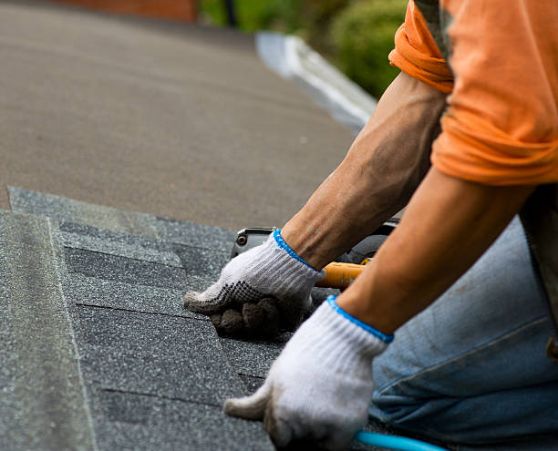 Best Local Roofing Companies  in Scott Af, IL